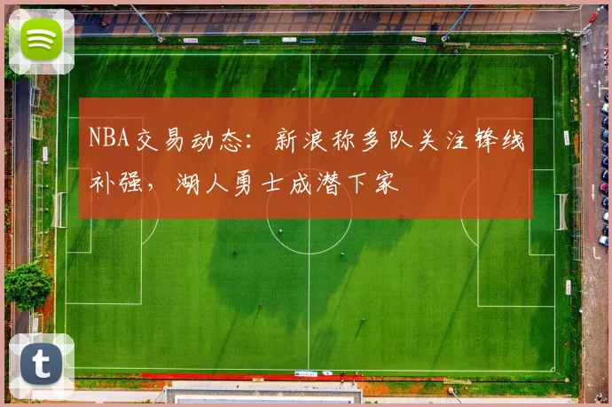 NBA交易动态:新浪称多队关注锋线补强,湖人勇士成潜下家