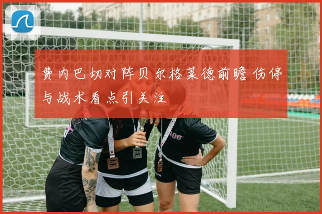 费内巴切对阵贝尔格莱德前瞻 伤停与战术看点引关注